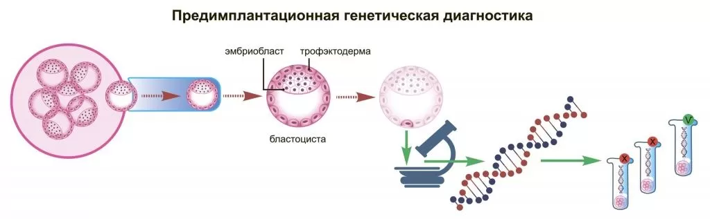 Самостоятельное лечение бесплодия | Советы специалистов в клинике «Тибет»